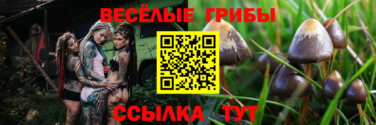 Галлюциногенные грибы мухоморы Гусь-Хрустальный